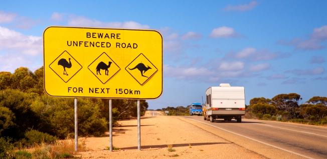 Beware unfenced road sign